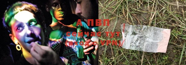 apvp Богданович